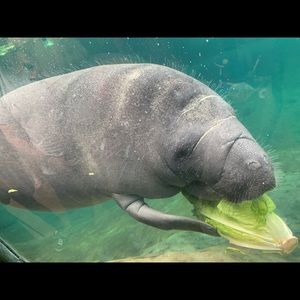 Meet your Posher, Cara